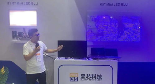 显芯科技AM Mini LED背光产品惊艳亮相，中介服务新范式赋能科技转化